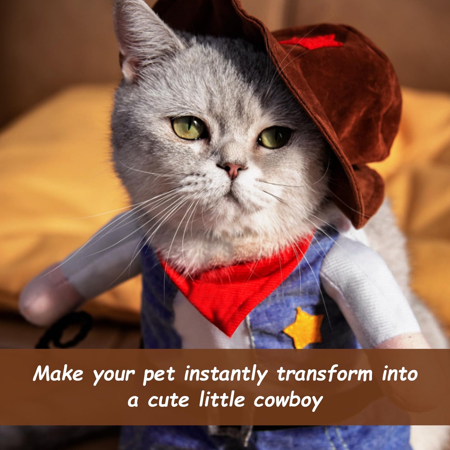Funny Cowboy Costume with Glasses - Stand-Up Pet Hoodie - Black