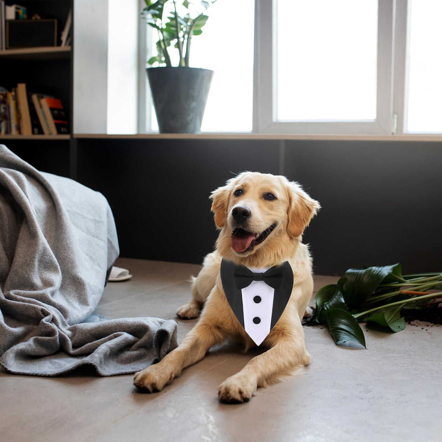 Dog Tuxedo Wedding Bandana Collar with Bow Tie Adjustable Dog