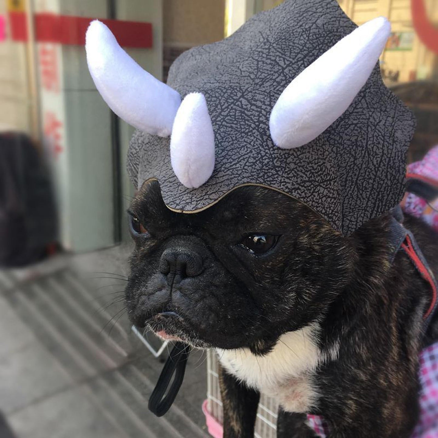 Triceratops Dinosaur Costume Hat for Pets Funny Halloween Cosplay