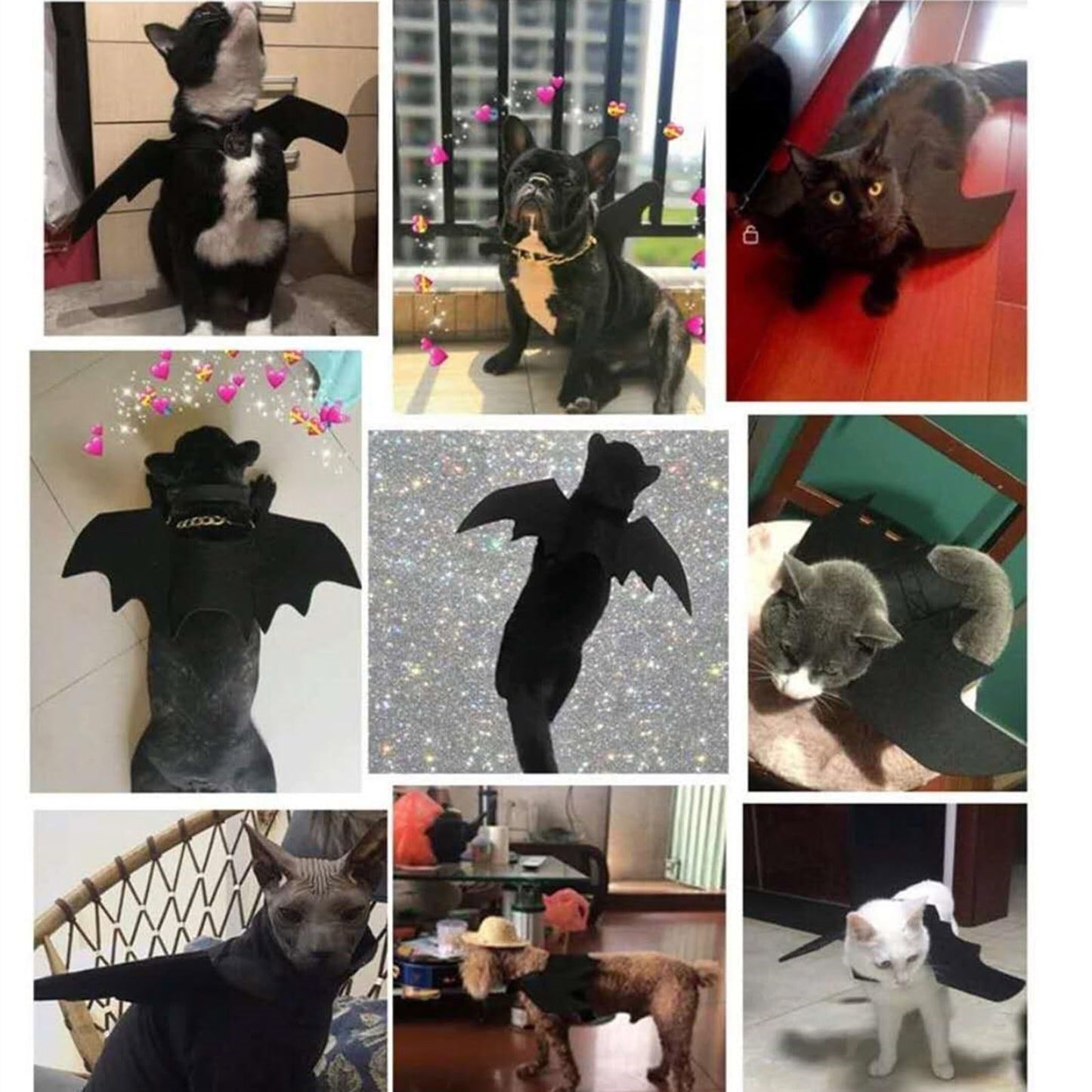 Halloween Pet Bat Wings Dog Funny Costume Cute Cat Dress Up