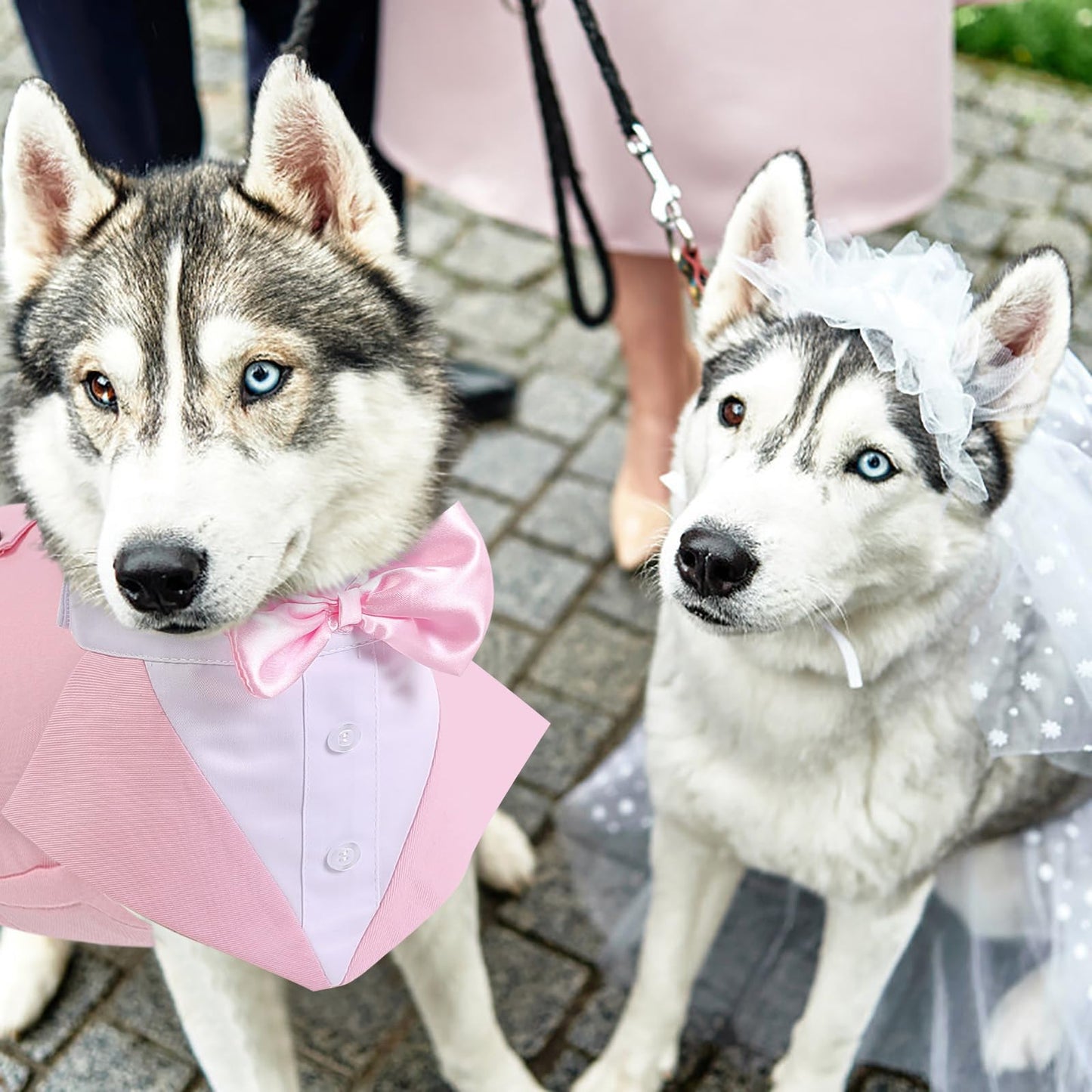 Dog Tuxedo - Pink Tuxedo for Dogs Formal Dogs Suit and Bandana Set