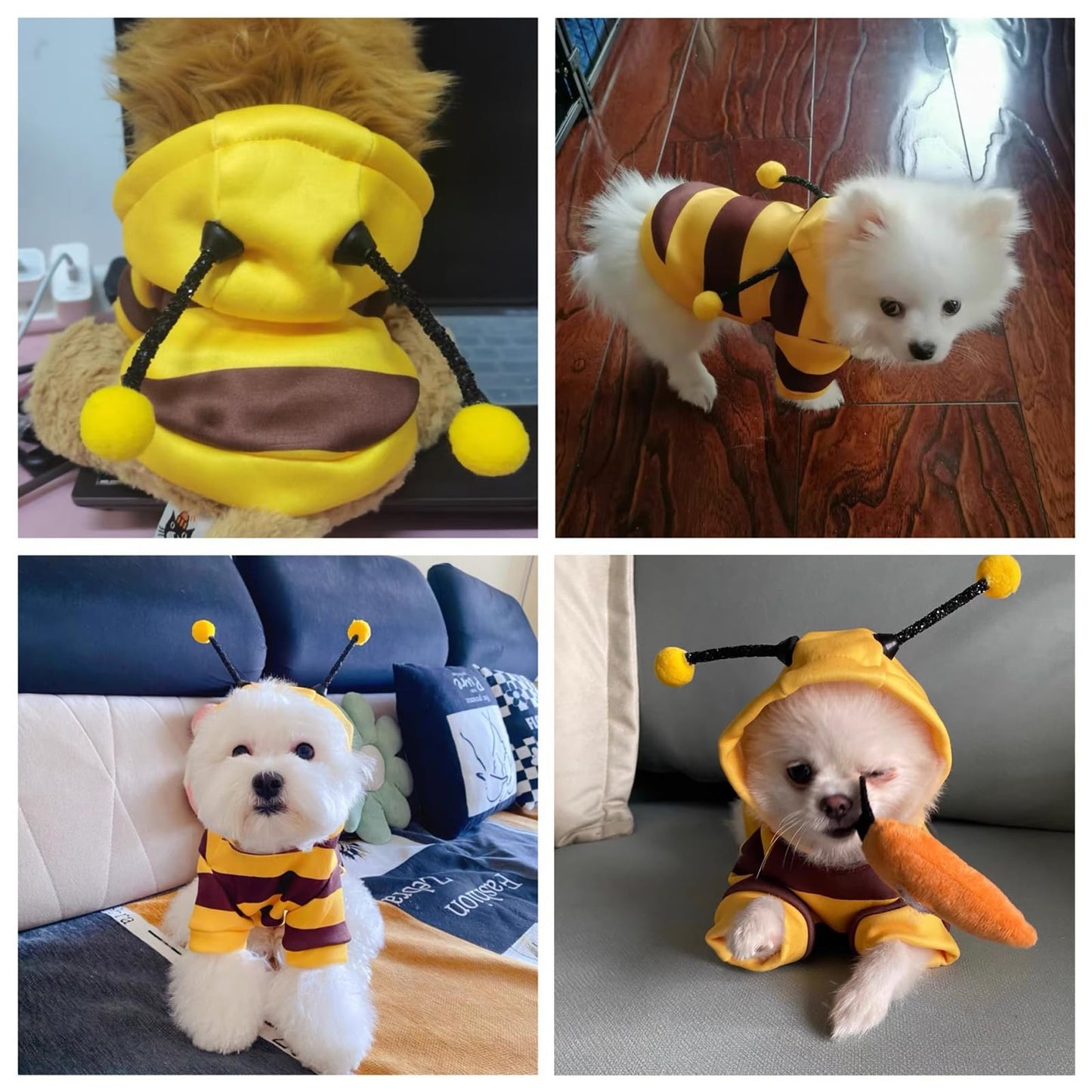Distinctive Style Dog Bee Hoodies - Bee Cat Costume - Halloween Pet