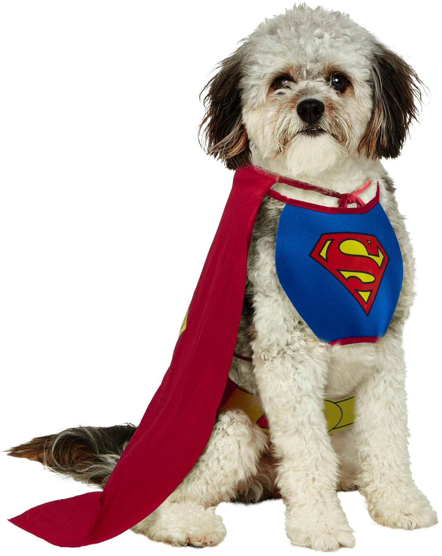 Official Superman Pet Dog Costume - Blue - Red - Halloween