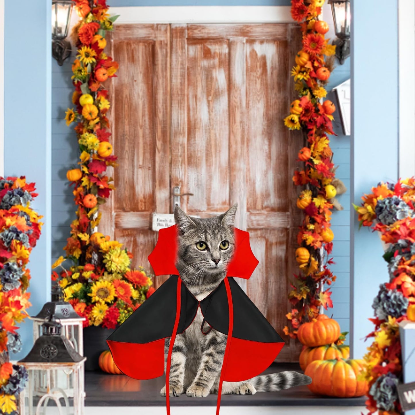 Halloween Cat Costumes - Vampire Cape for Dogs and Cats - Pet