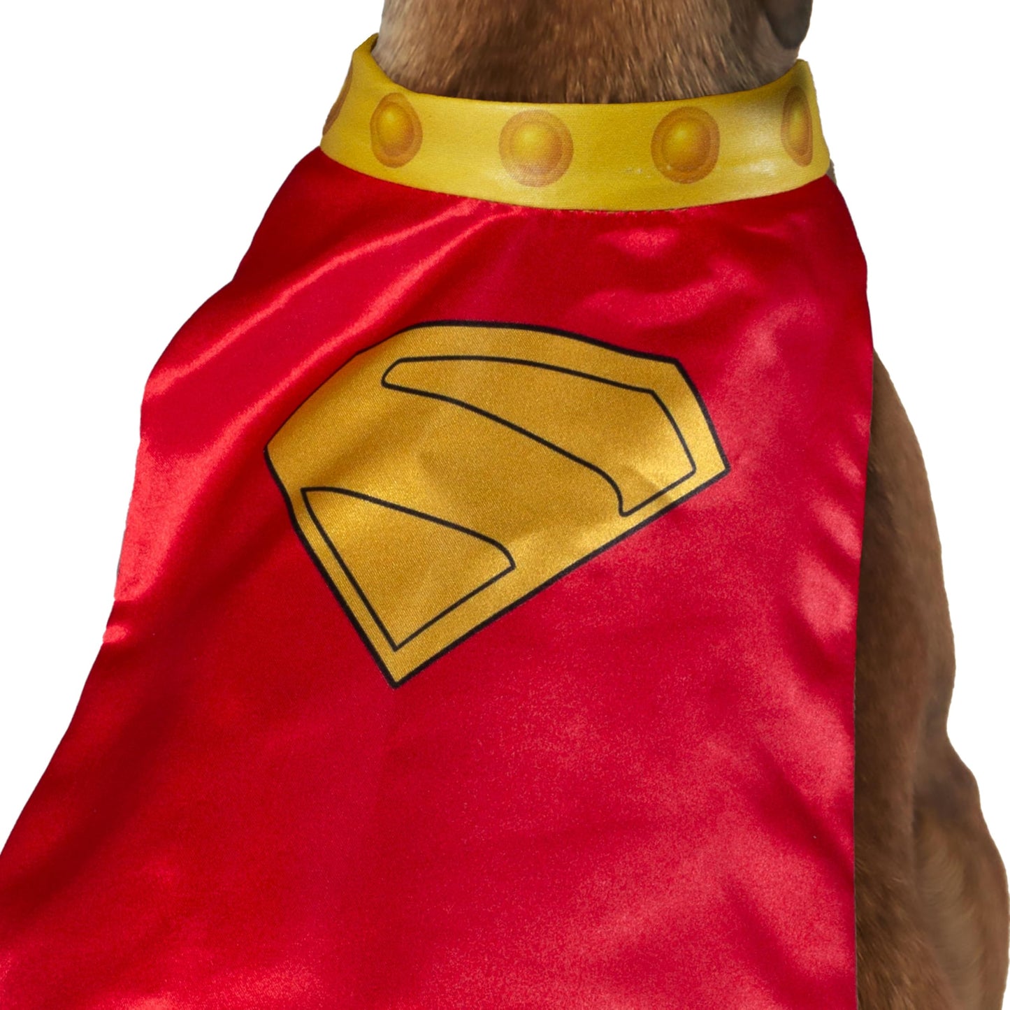 Official DC Superman Movie Krypto Pet Dog Costume - Pet Superhero