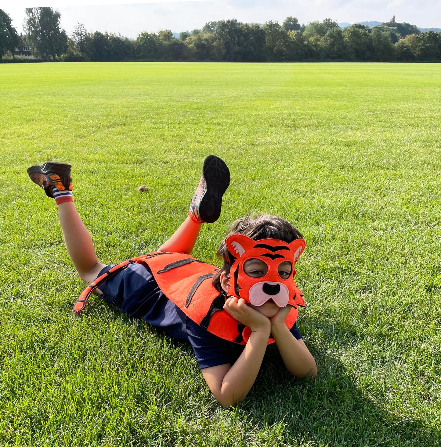 ZAC HOME World Book Day Animal Jungle Animal Costume Tiger Costume Mask and Cape for Age 3-12