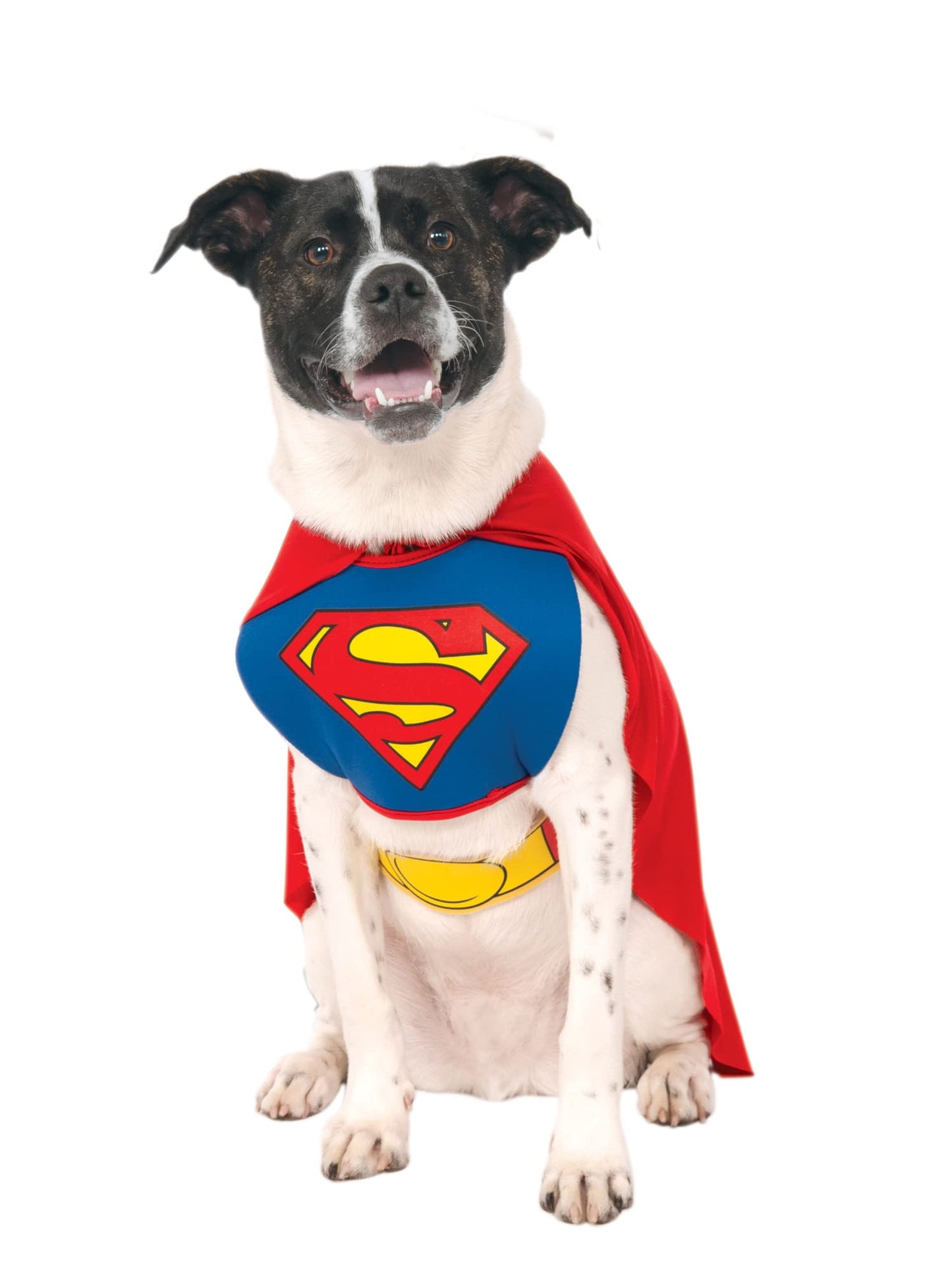 Official Superman Pet Dog Costume - Blue - Red - Halloween