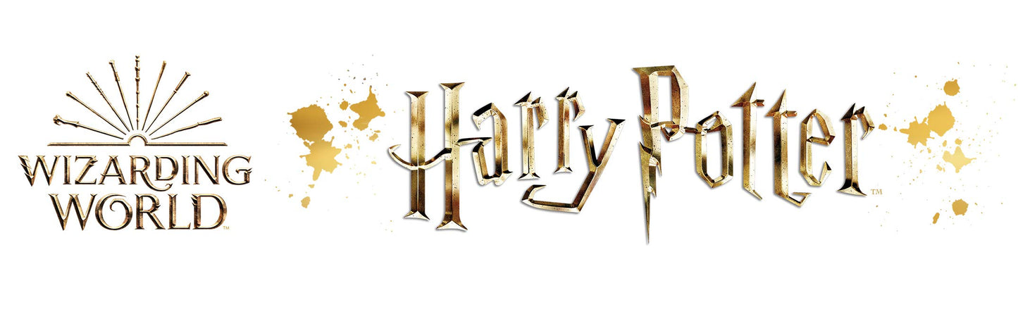 Harry Potter costume disguise boy official (Size 9-11 years)