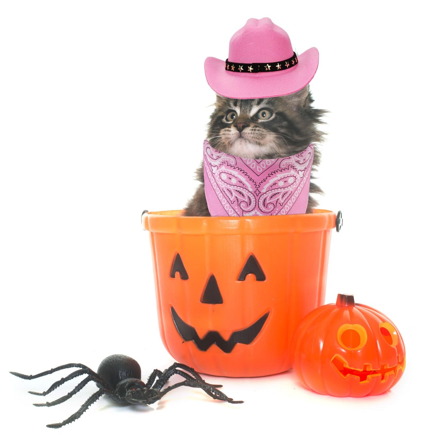 Pet Cowboy Costume - Dog & Cat Cowboy Hat & Bandana Set - Pink