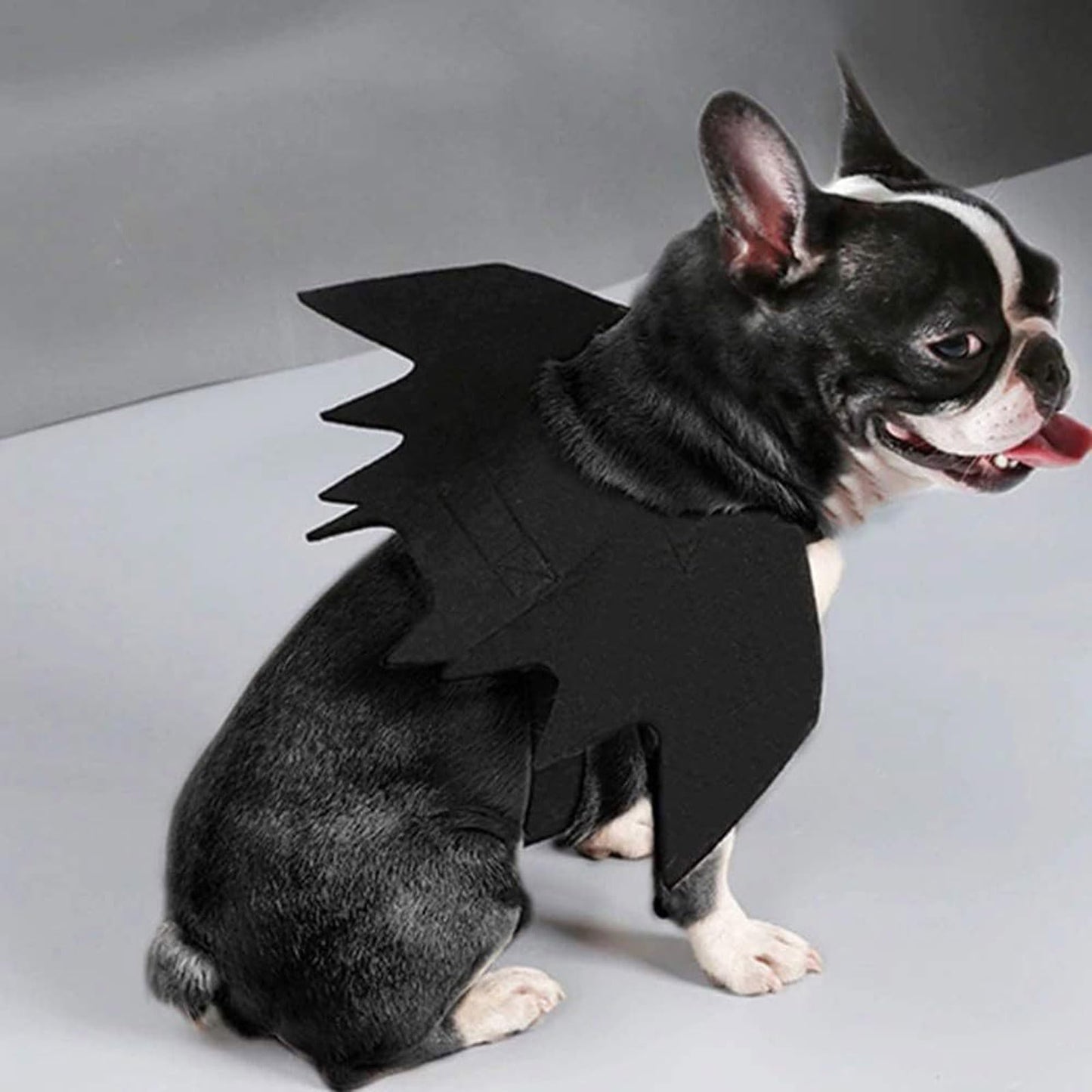 Halloween Pet Bat Wings Dog Funny Costume Cute Cat Dress Up