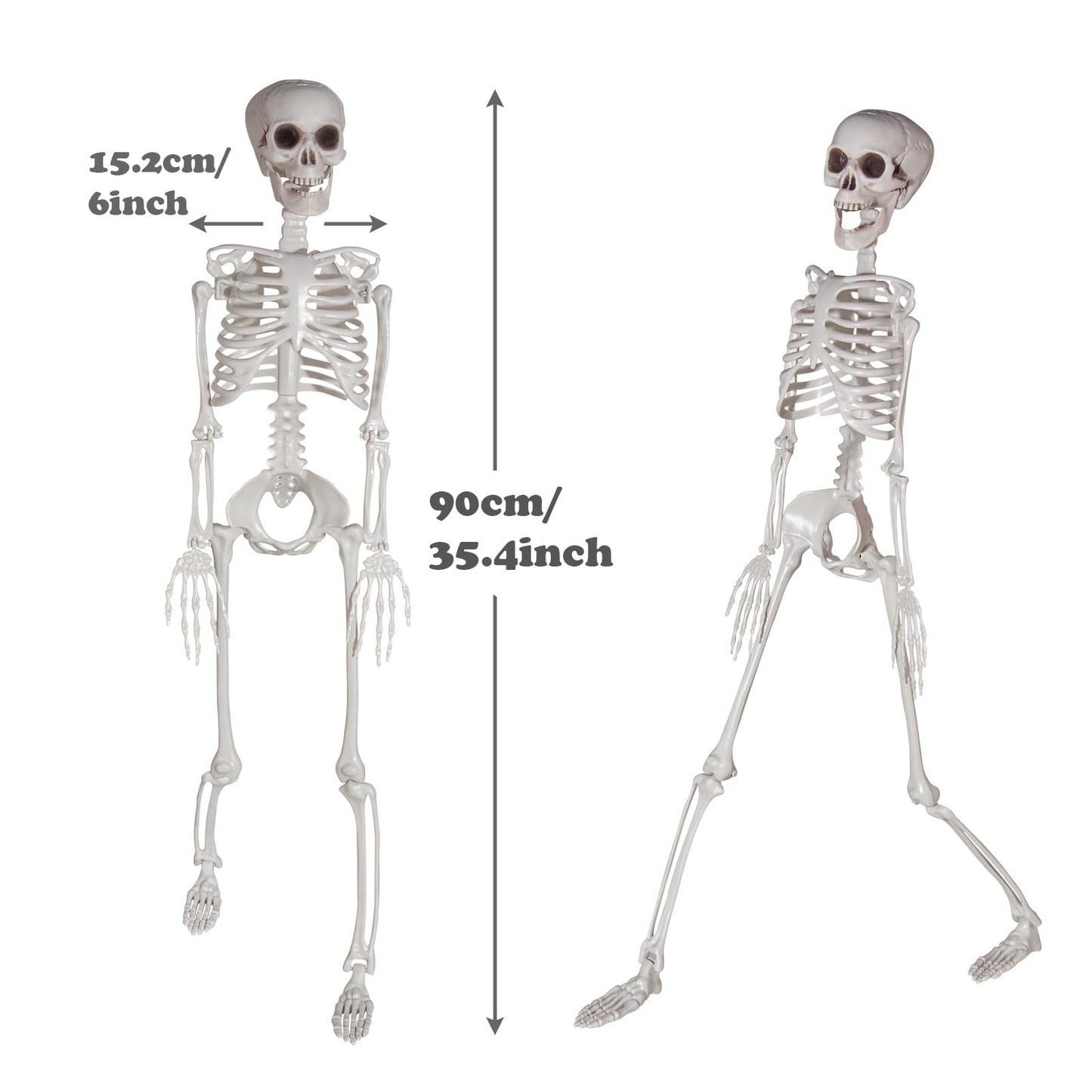 SIFOEL 90cm Halloween Skeleton Full Body Skeleton with Movable Joints for Halloween Party Home Garden House Patio Decorations (1pc)