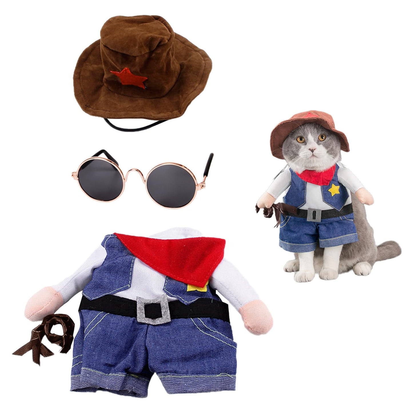 Funny Cowboy Costume with Glasses - Stand-Up Pet Hoodie - Black