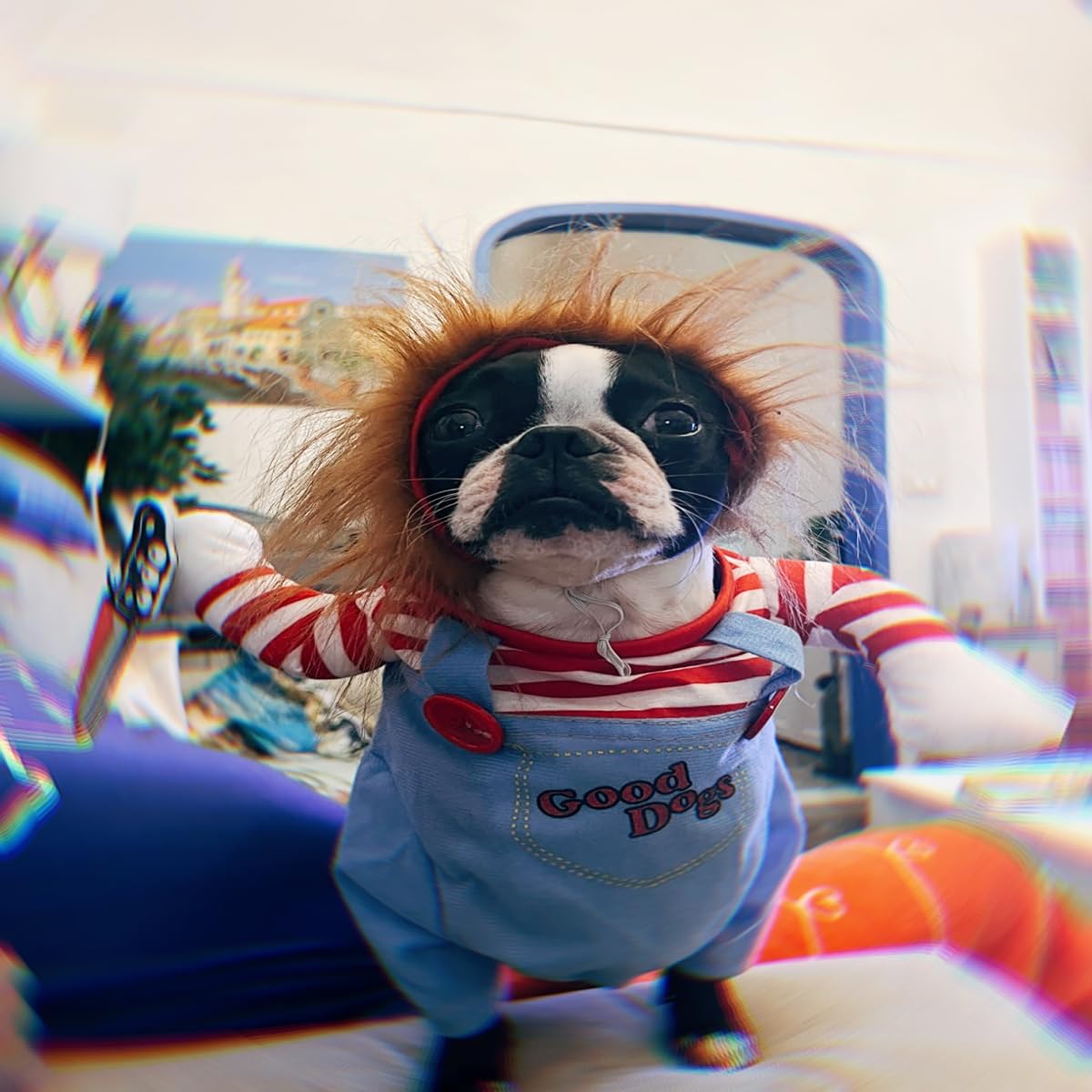 Deadly Doll Dog Clothes - Pets Costume Halloween Cosplay for Dogs