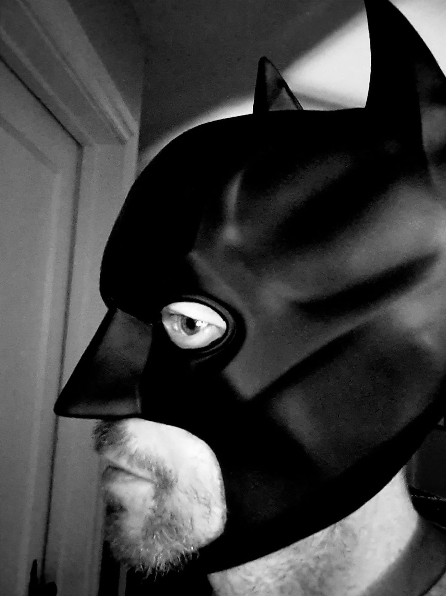 SINSEN Adult Bat Mask for Men Superheroe Bruce Wayne Full Mask Knight Cosplay Costume Prop for Halloween Party Dark (B)