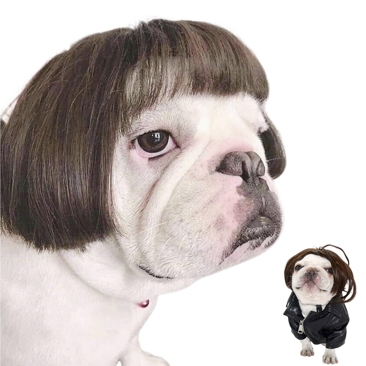 Pet Wigs - Dog Halloween Costume Dog Cat Cosplay Wig Funny Headwear
