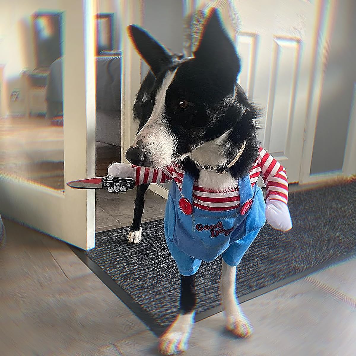 Deadly Doll Dog Clothes - Pets Costume Halloween Cosplay for Dogs