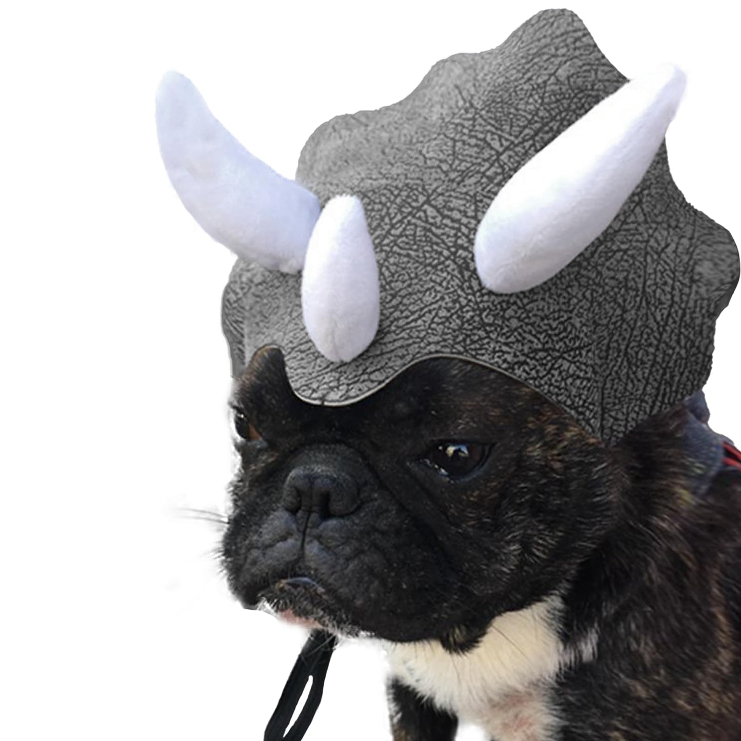 Triceratops Dinosaur Costume Hat for Pets Funny Halloween Cosplay