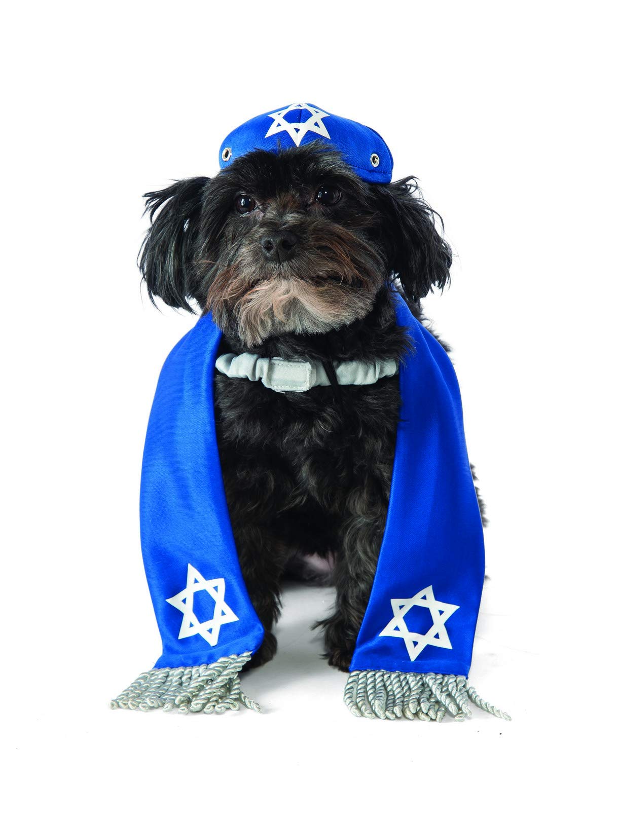 Menorah Dog Costume - Multicolor - M-l