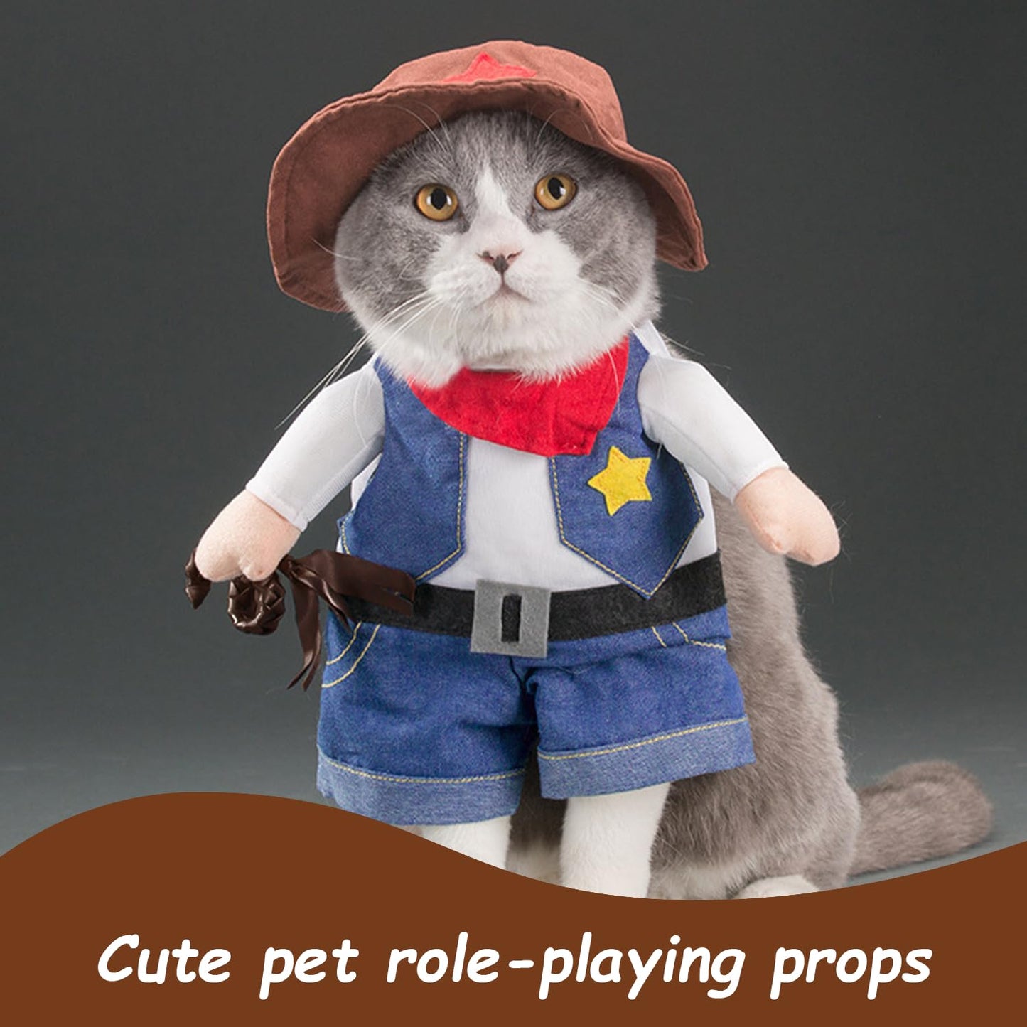 Funny Cowboy Costume with Glasses - Stand-Up Pet Hoodie - Black
