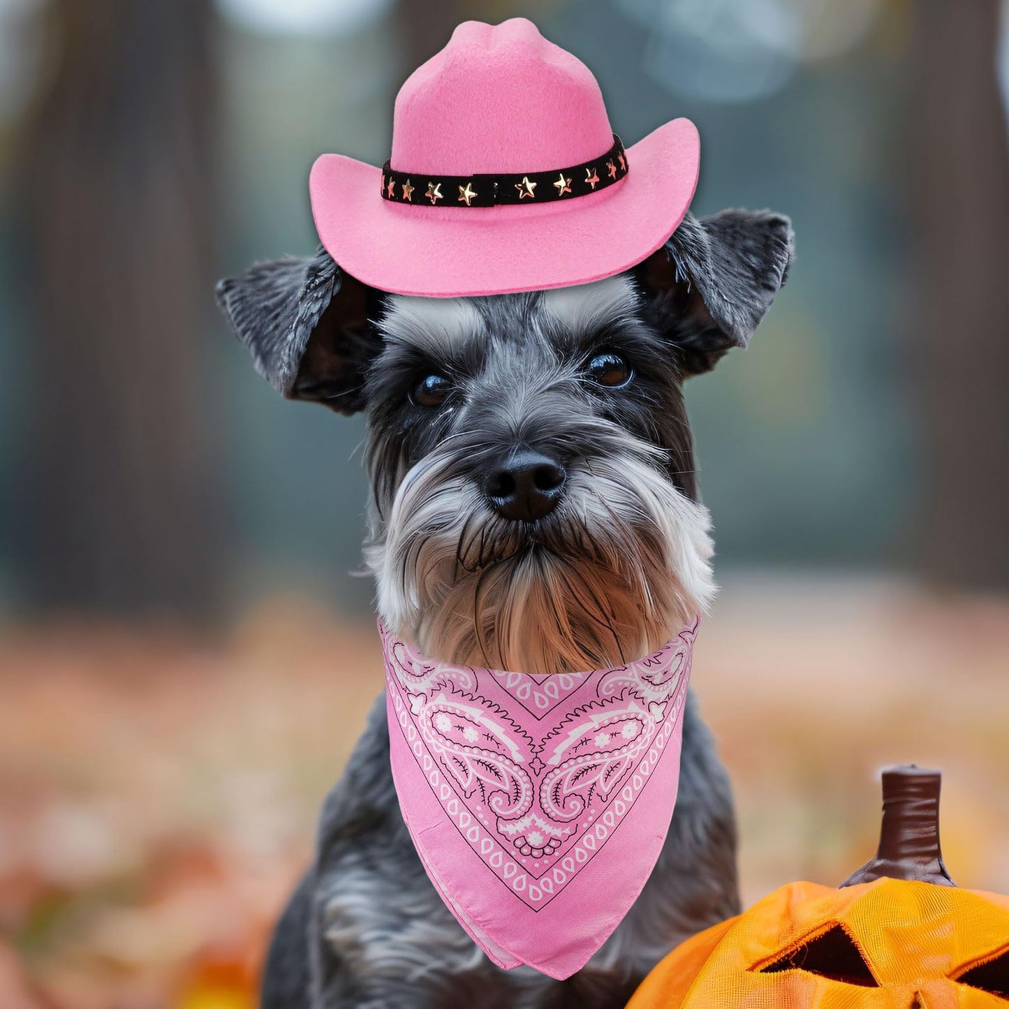 Pet Cowboy Costume - Dog & Cat Cowboy Hat & Bandana Set - Pink
