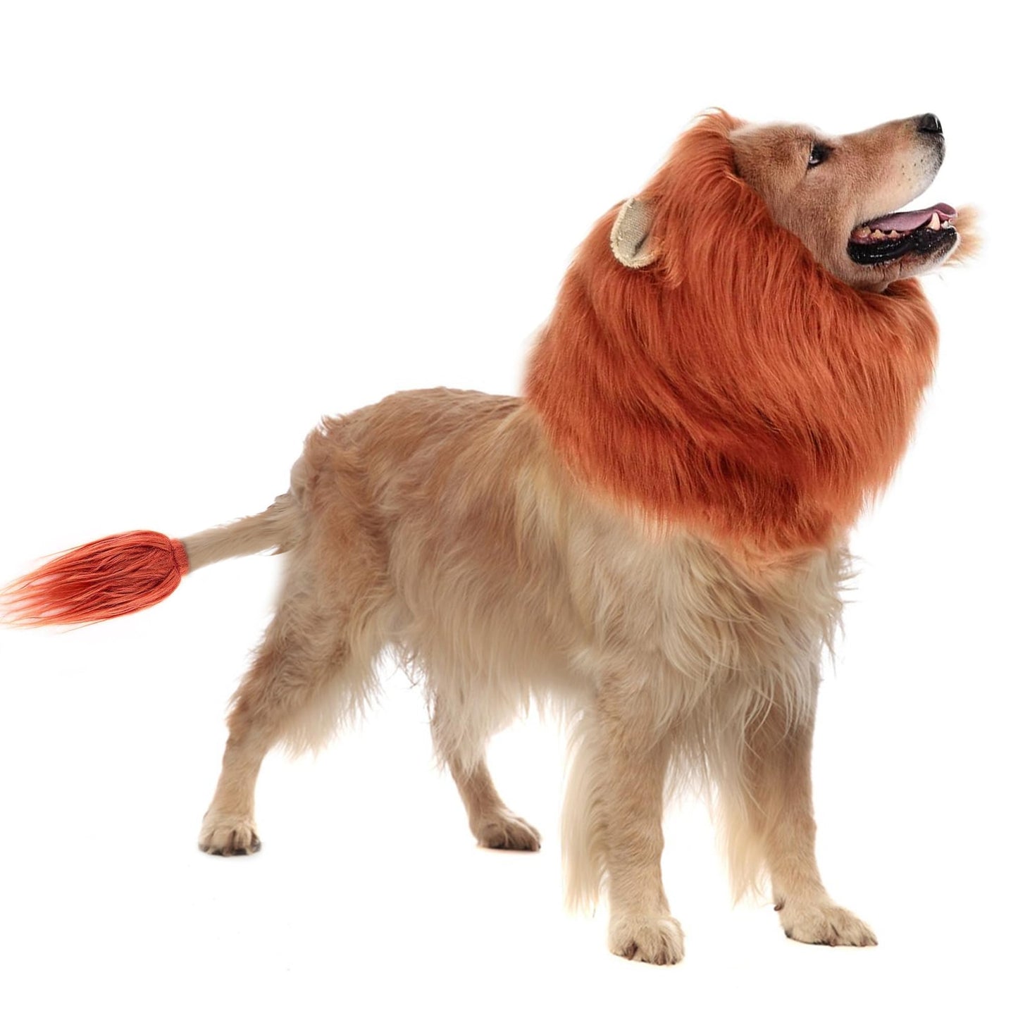 Lion Mane Dog Costume for & Dogs - Realistic Lion Wig for Halloween