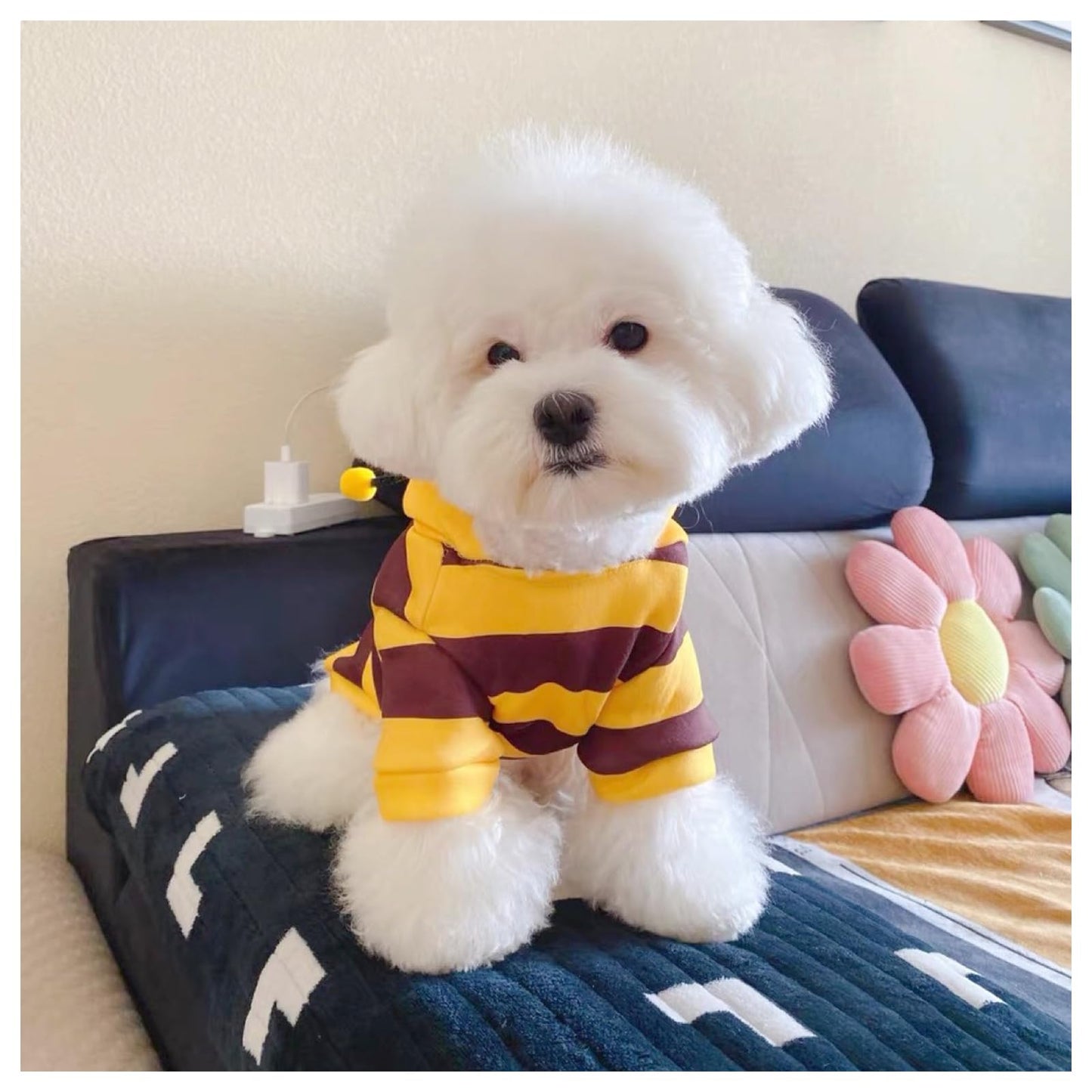 Distinctive Style Dog Bee Hoodies - Bee Cat Costume - Halloween Pet