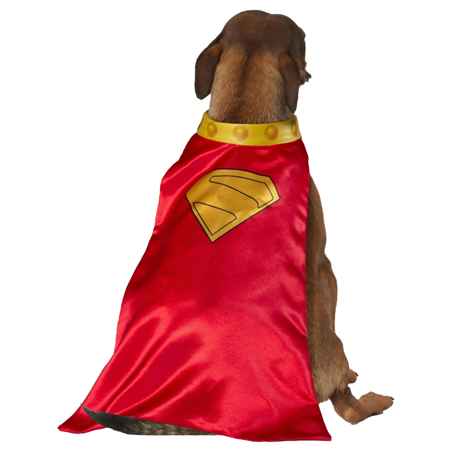 Official DC Superman Movie Krypto Pet Dog Costume - Pet Superhero