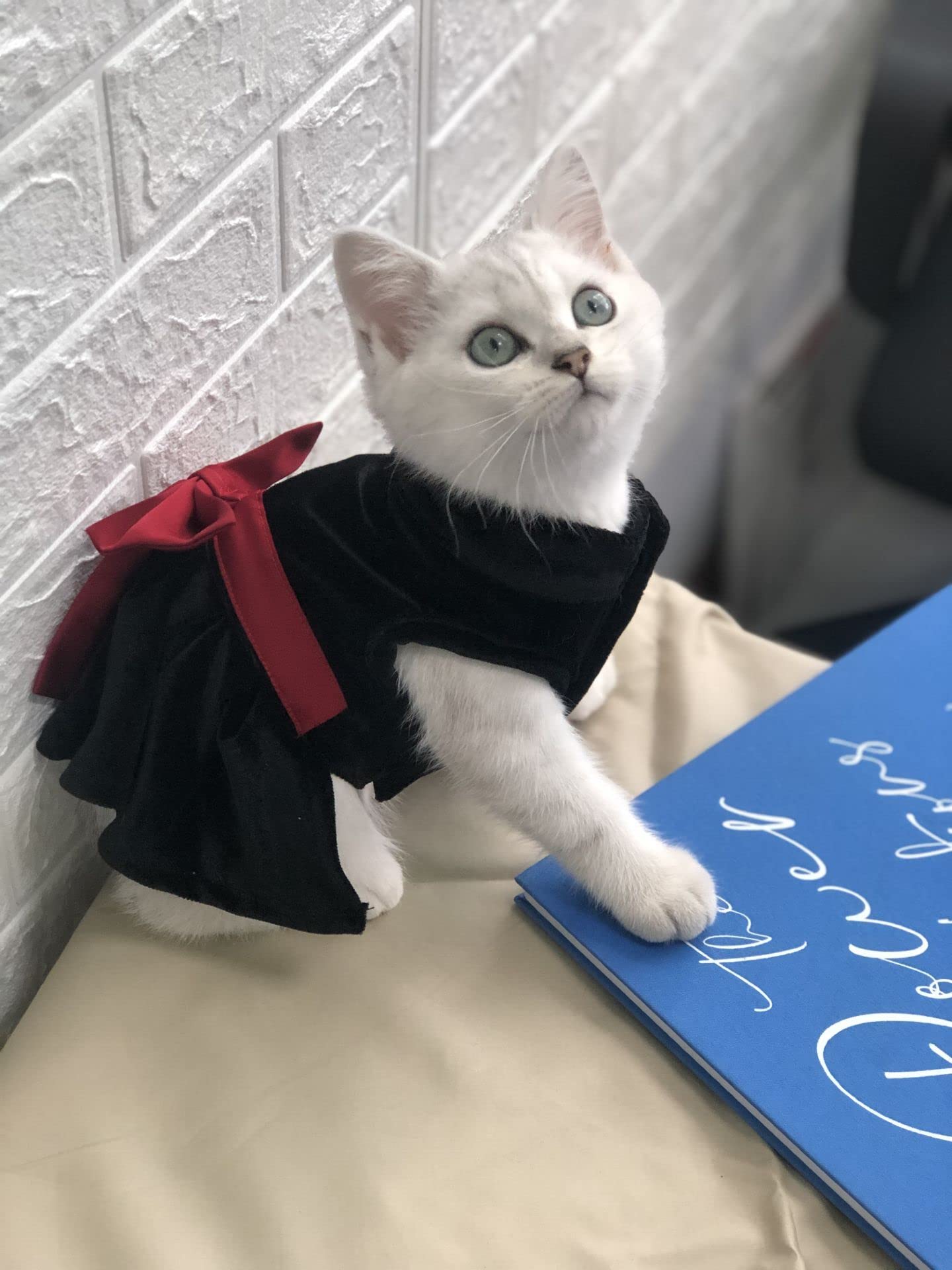 Pet Dresses for Dogs Cats Girl - Cute Princess Bowknot Dress Puppy
