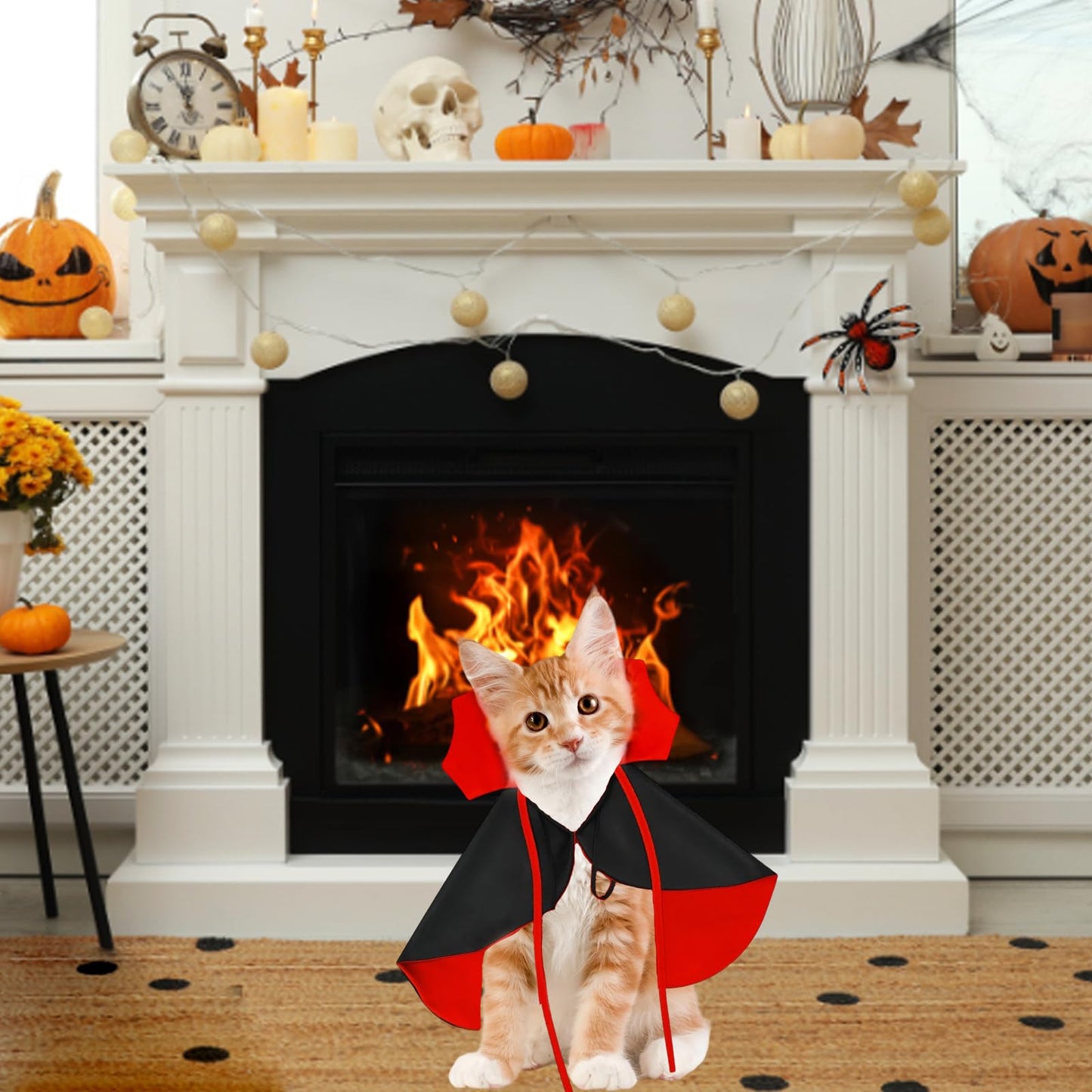 Halloween Cat Costumes - Vampire Cape for Dogs and Cats - Pet