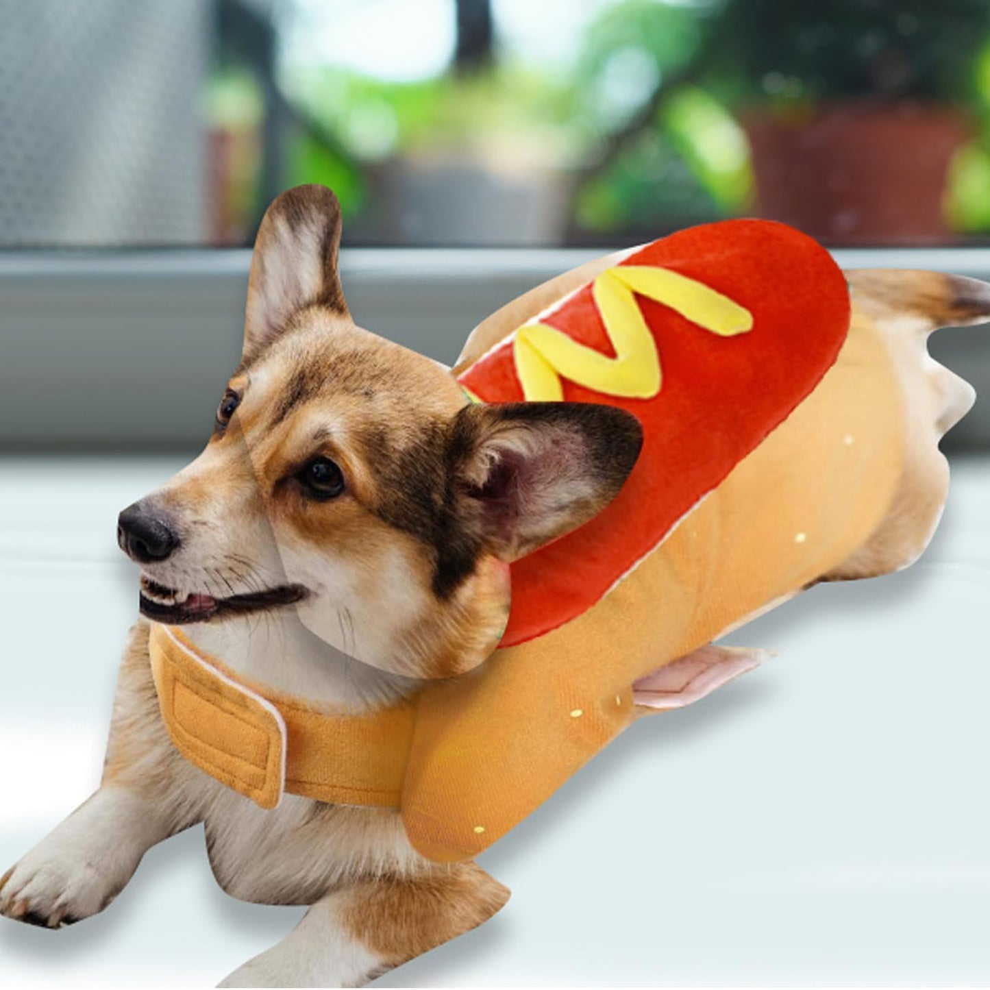 Pet Hot Dog Costume Hamburger Design Dog Clothes Pet Halloween