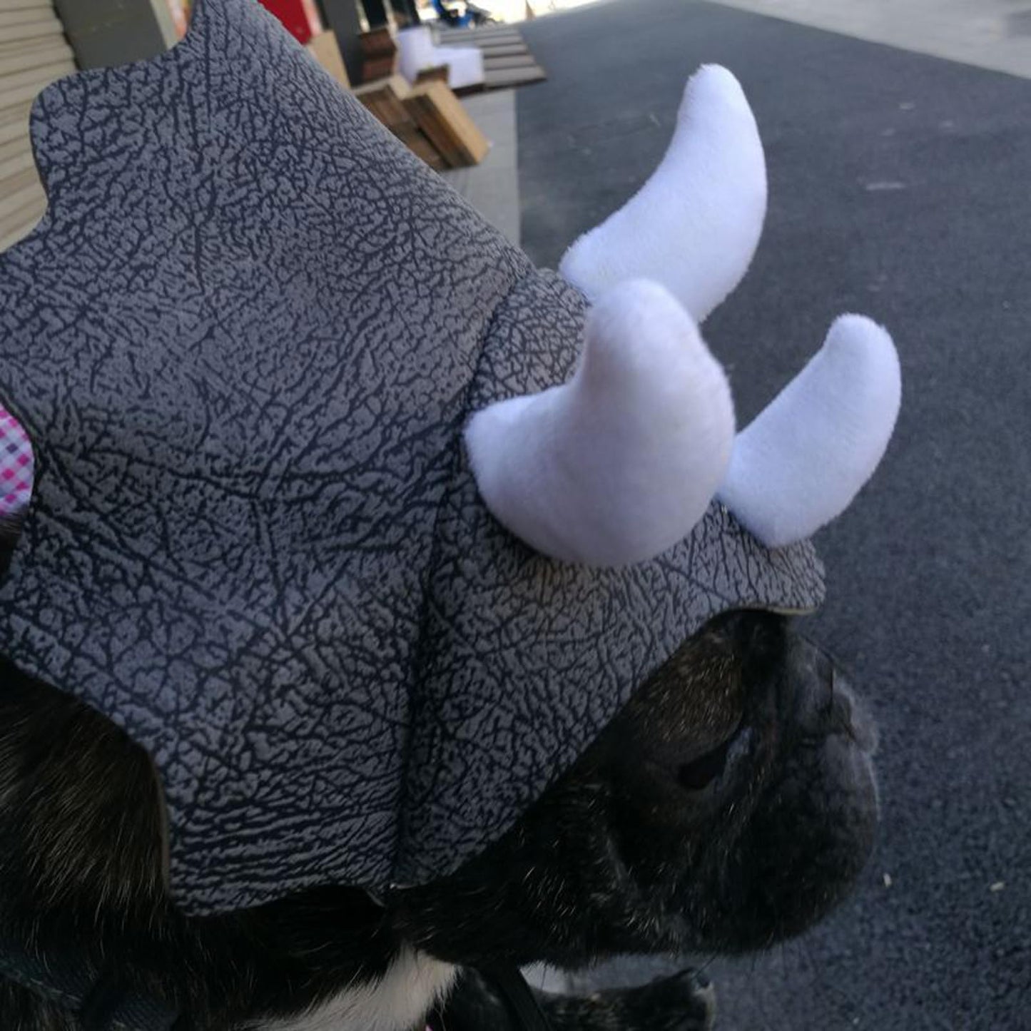 Triceratops Dinosaur Costume Hat for Pets Funny Halloween Cosplay