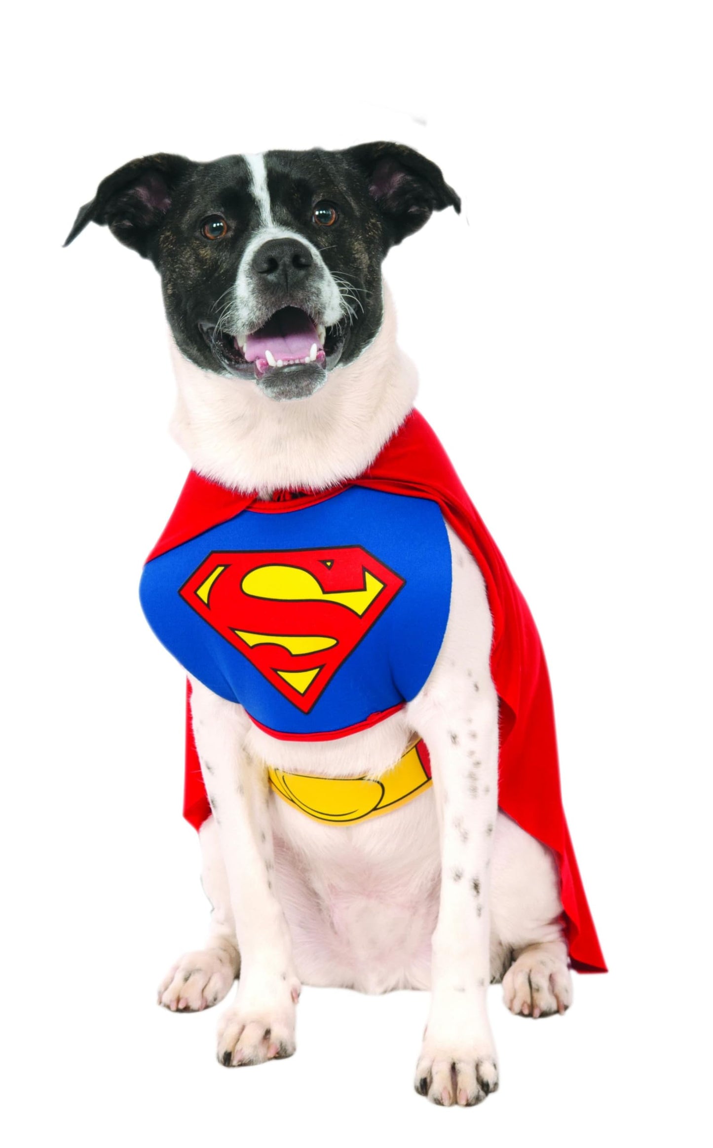 Official Superman Pet Dog Costume - Blue - Red - Halloween
