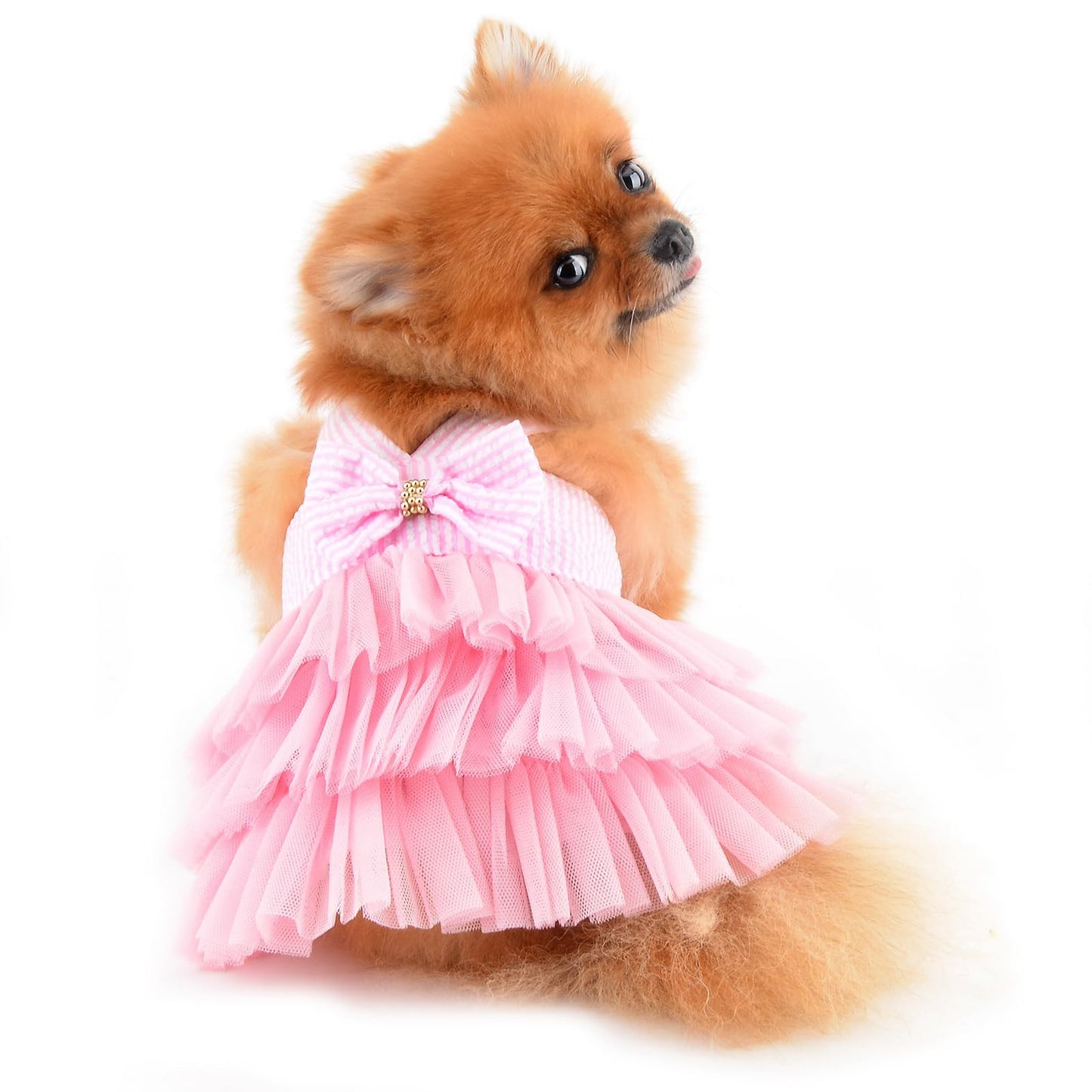 Dog Dress Striped Denim Organza Bow Beads Tutu Skirt Summer Soft