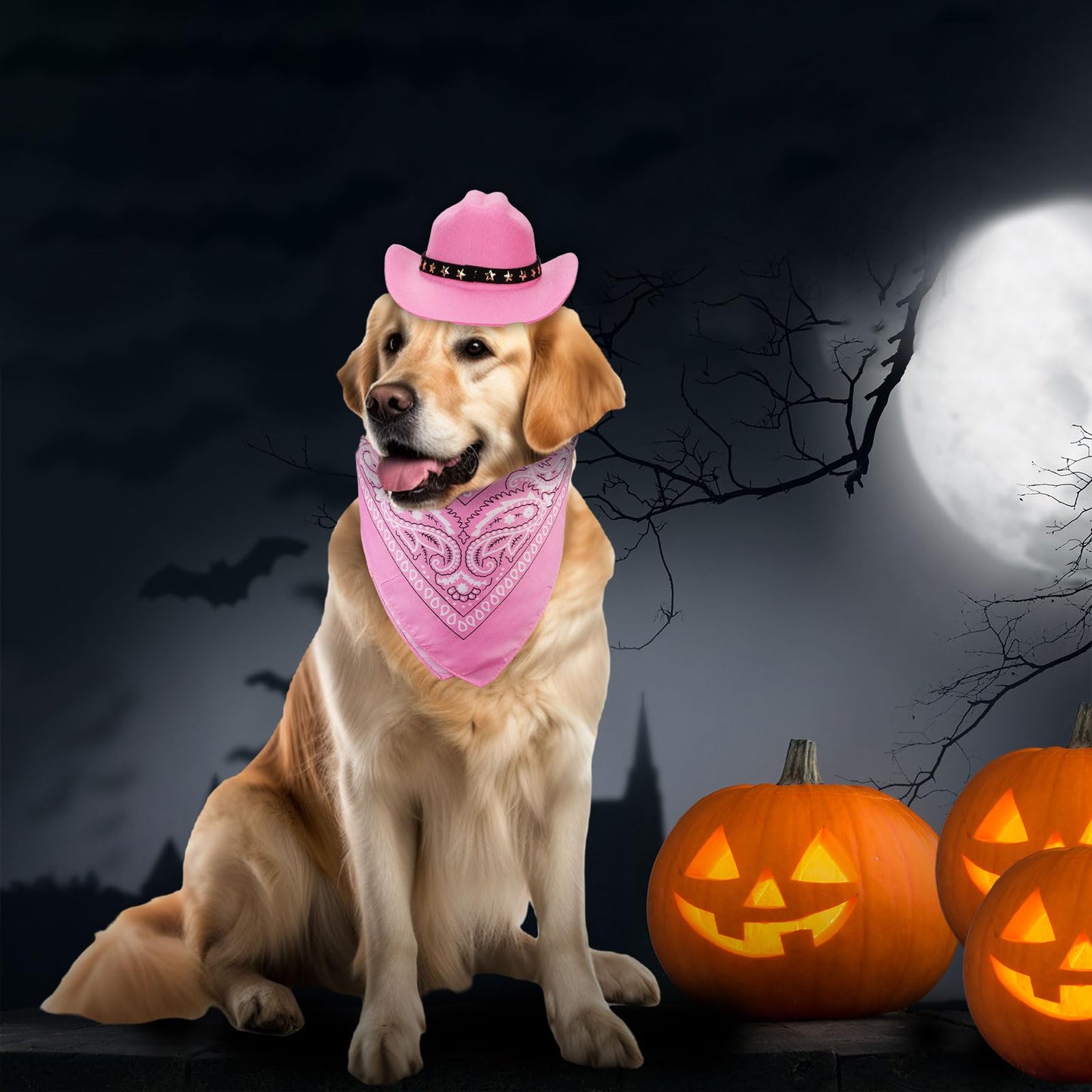Pet Cowboy Costume - Dog & Cat Cowboy Hat & Bandana Set - Pink