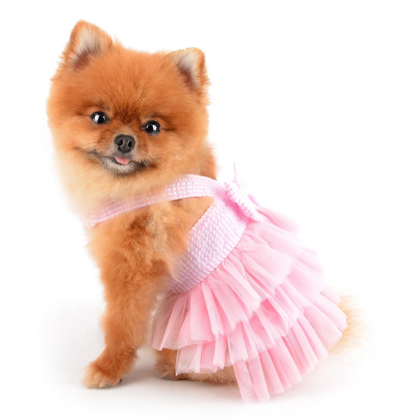 Dog Dress Striped Denim Organza Bow Beads Tutu Skirt Summer Soft