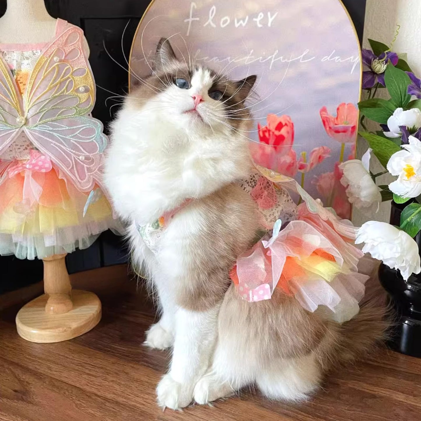 Cat Pretty Fairy Costume Clothing - Pet Cute Dress Outfit (image 5)