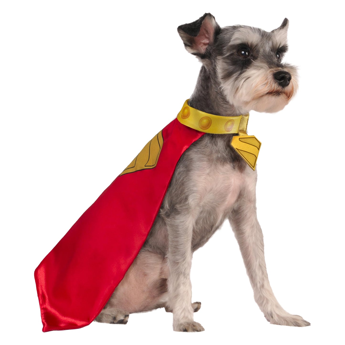 Official DC Superman Movie Krypto Pet Dog Costume - Pet Superhero
