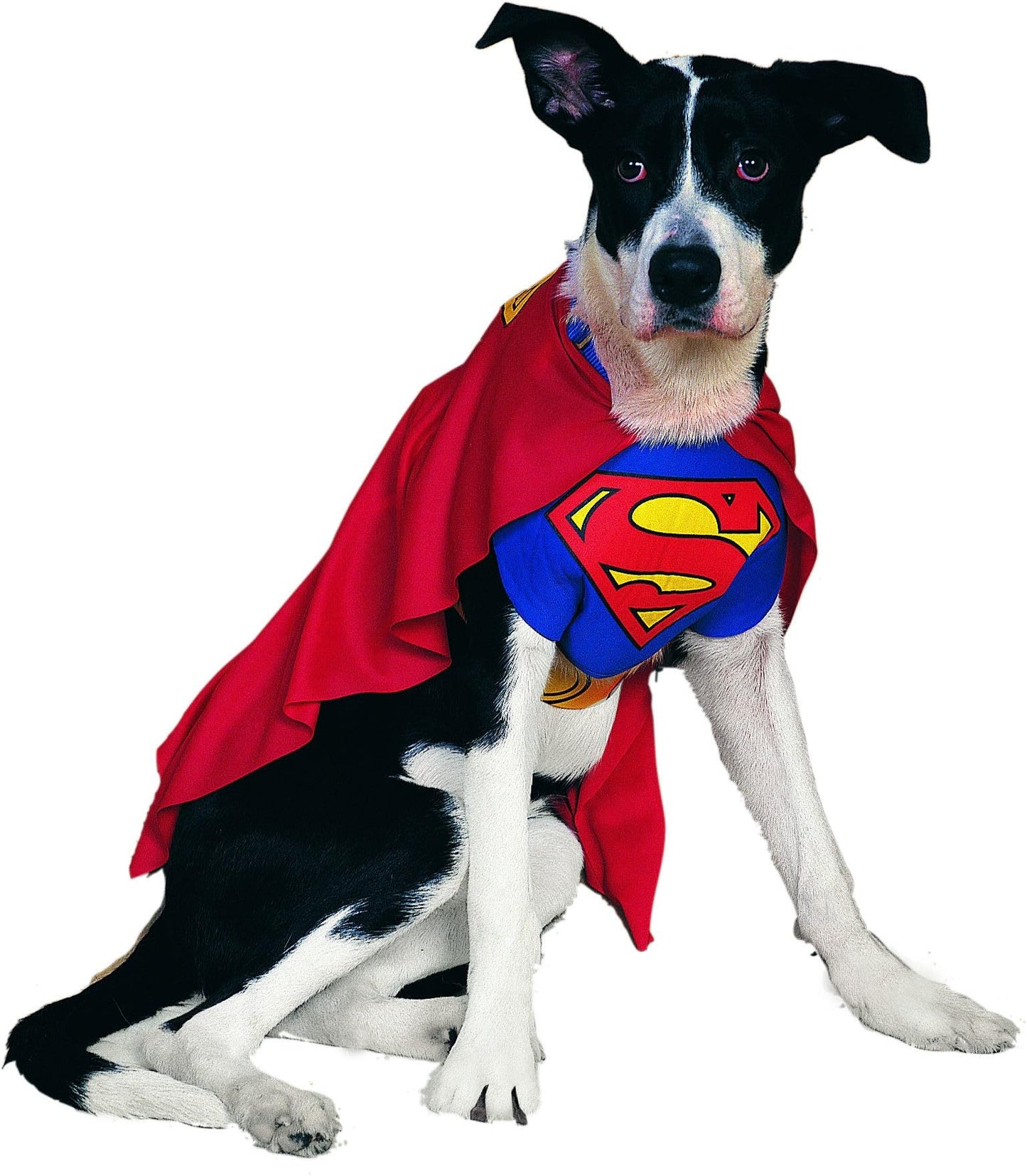 Official Superman Pet Dog Costume - Blue - Red - Halloween
