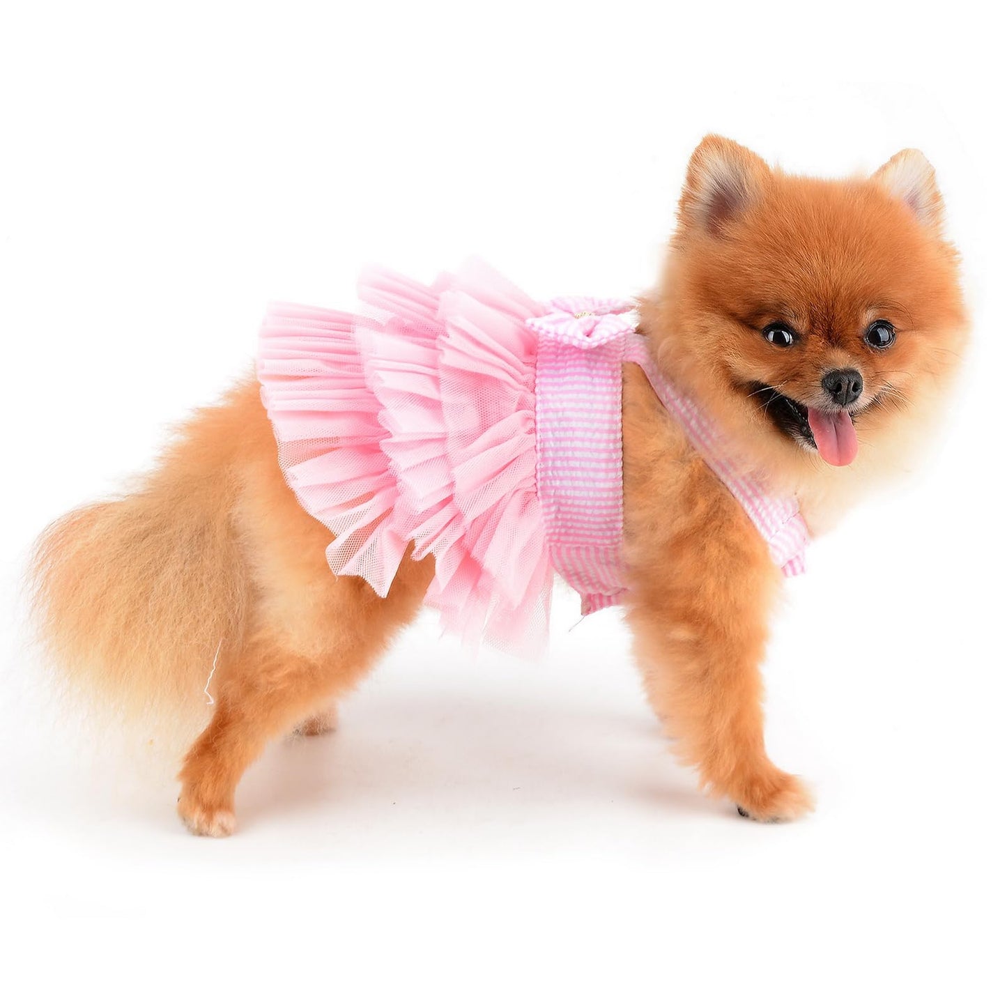 Dog Dress Striped Denim Organza Bow Beads Tutu Skirt Summer Soft