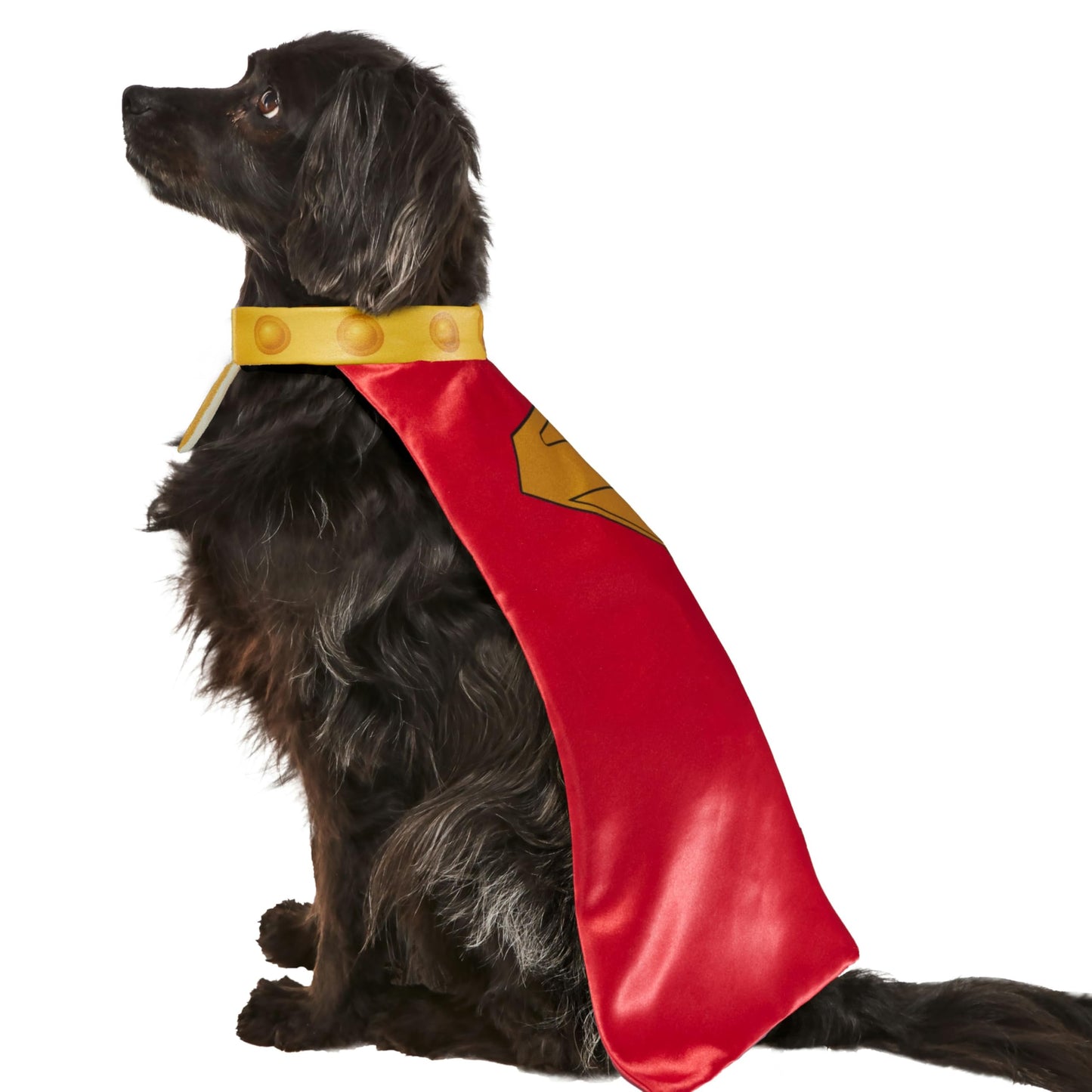 Official DC Superman Movie Krypto Pet Dog Costume - Pet Superhero