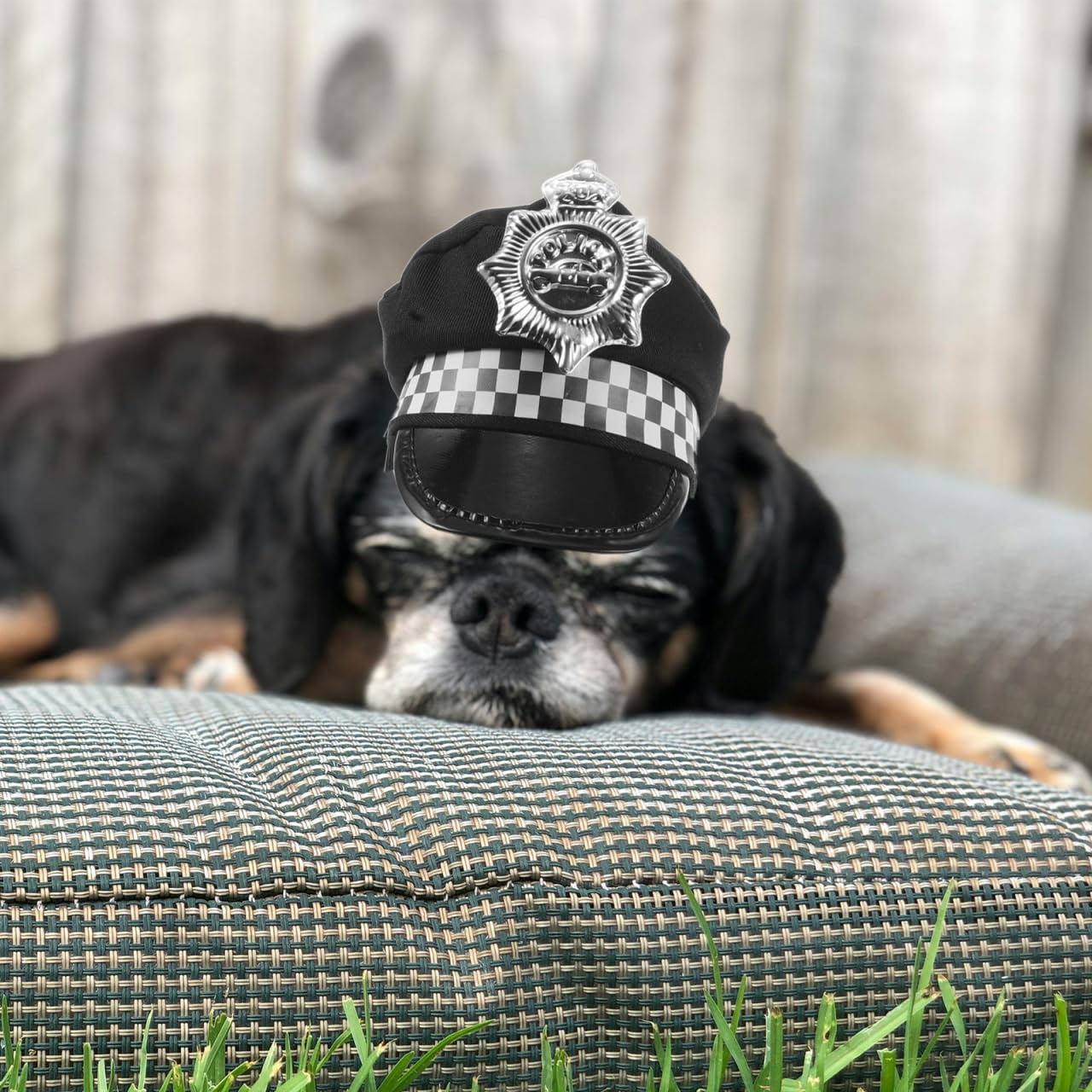 Adjustable Pet Police Hat with Neck Strap Dog Cat Costume Accessory