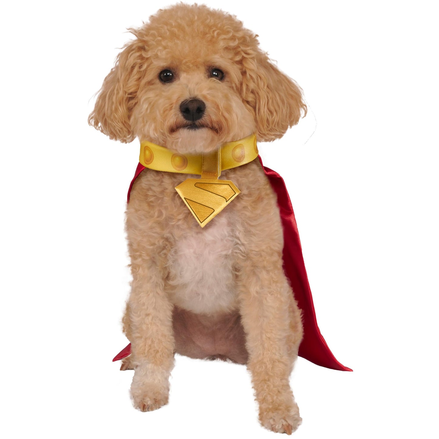 Official DC Superman Movie Krypto Pet Dog Costume - Pet Superhero
