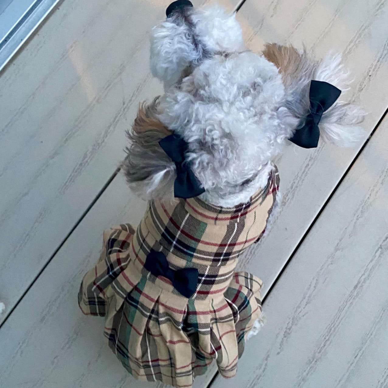Dog Fancy Dress Costumes Puppy Clothes for Dogs Accessories - Cute