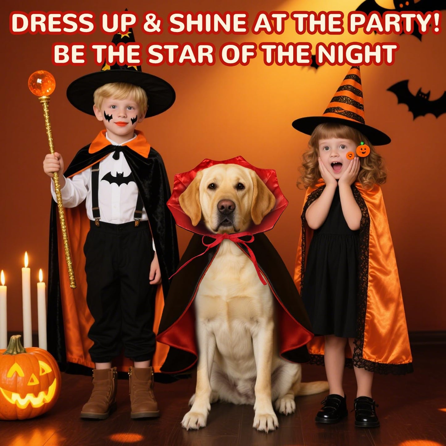 Halloween Pet Vampire Cape Adjustable Red & Black Fancy Dress