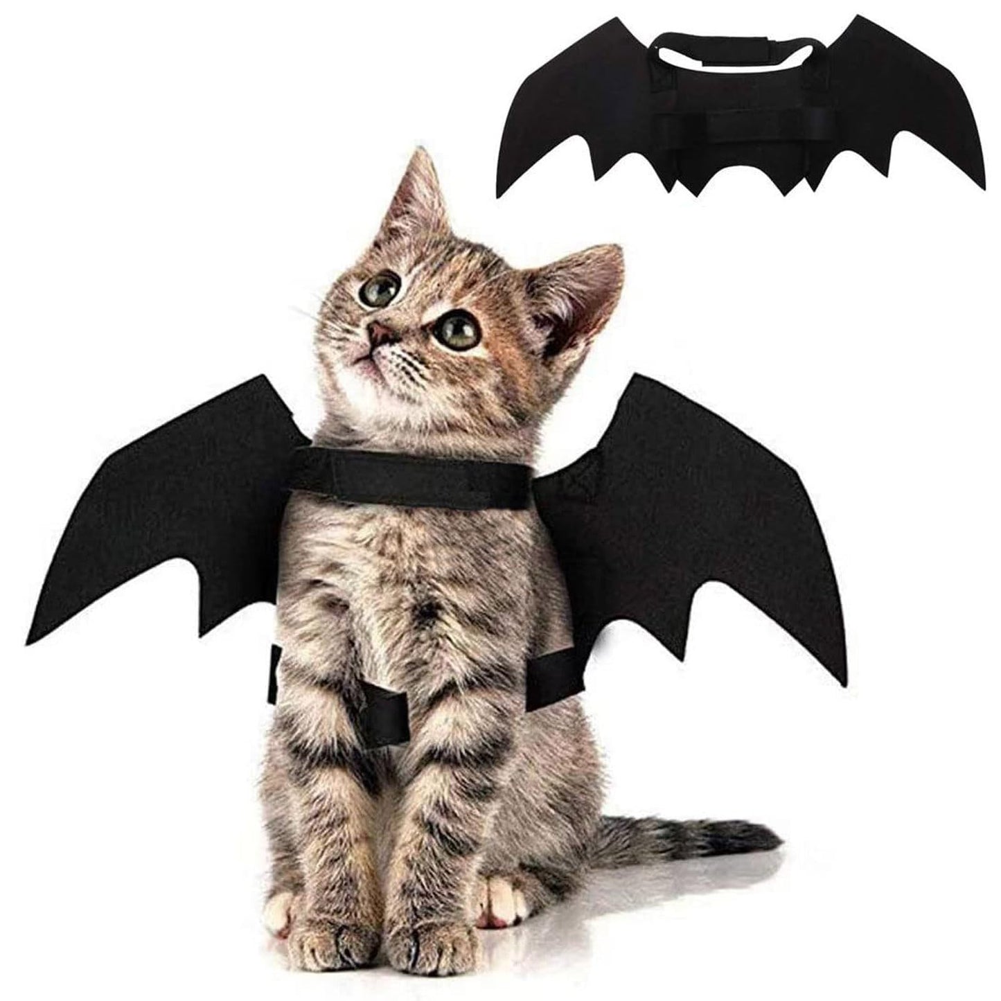 Halloween Pet Bat Wings Dog Funny Costume Cute Cat Dress Up