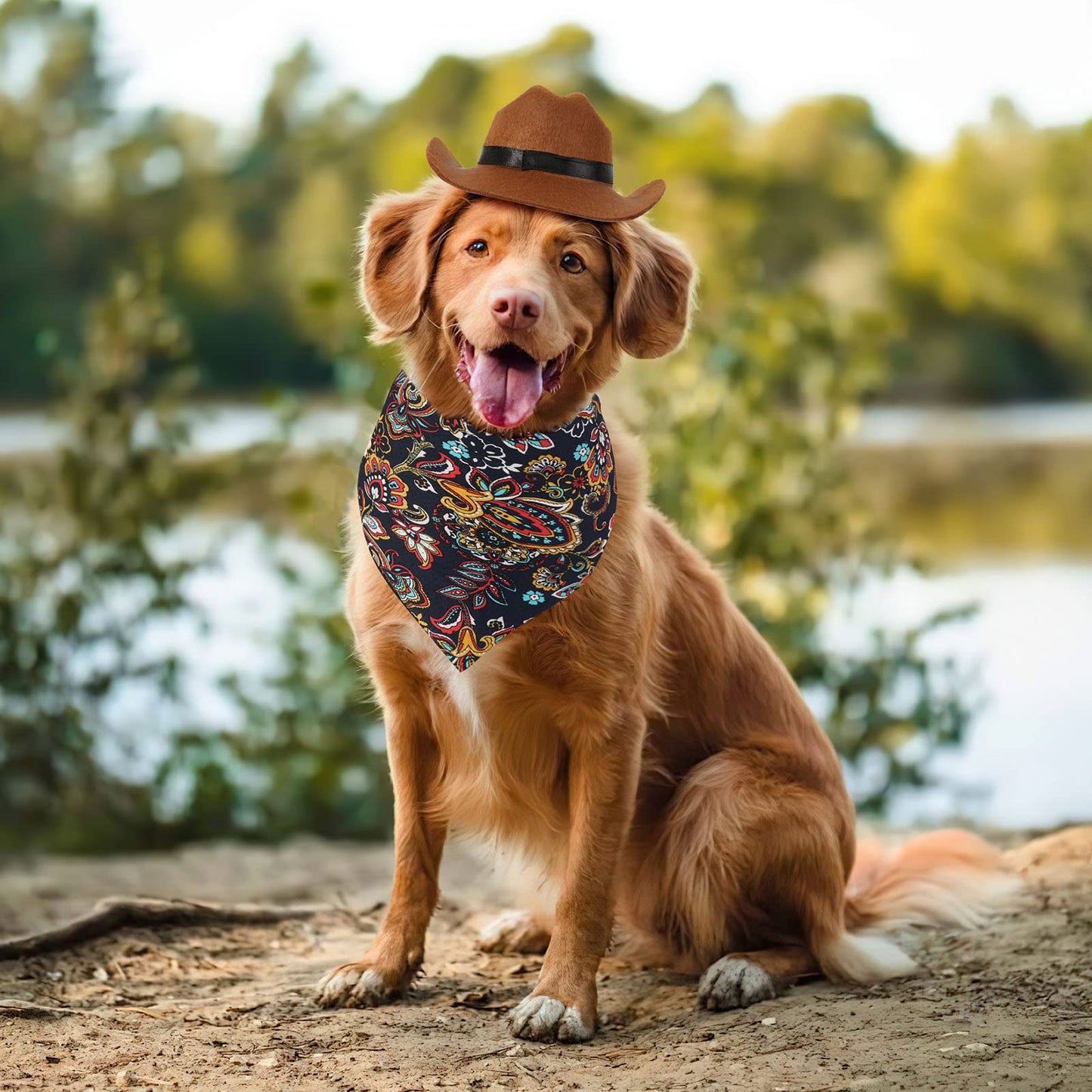 Dogs Cats Cowboy Costume Hats and Bandanas Scarf - Cowboy Caps
