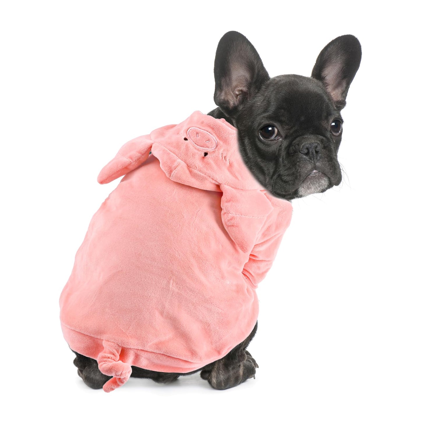 Dog Halloween Pig Costume - French Bulldog Adorable Pig Holiday