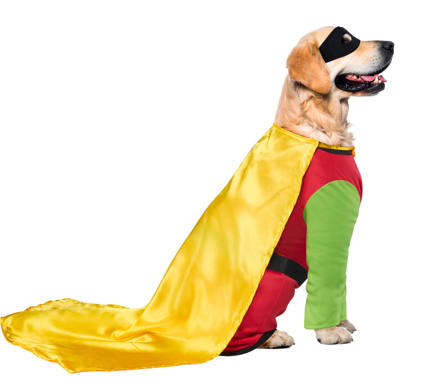 Rubie's Pet DC Comics Robin Big Dog Boutique - Xxx- Party Supplies