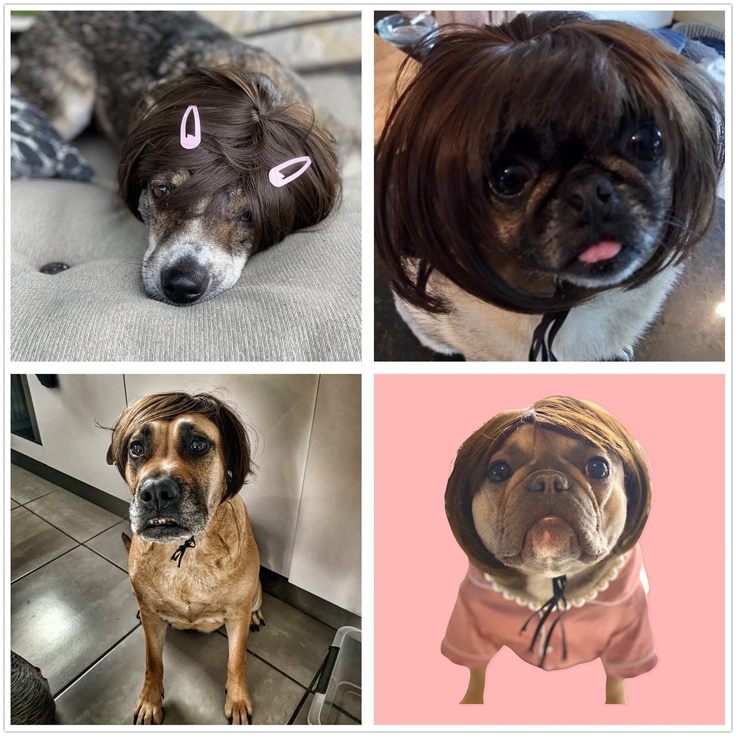 Pet Wigs - Dog Halloween Costume Dog Cat Cosplay Wig Funny Headwear