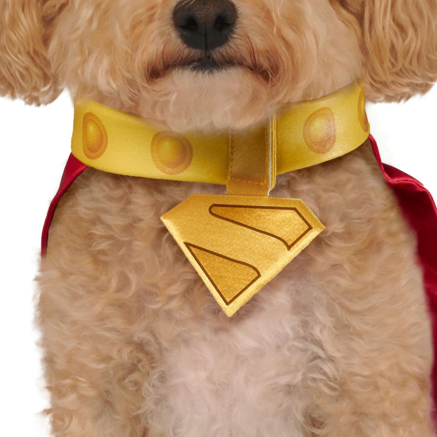 Official DC Superman Movie Krypto Pet Dog Costume - Pet Superhero